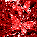 Butterflies Colored Live Wallp logo