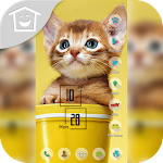 Cover Image of ダウンロード Yellow Cat Kitty in Mug Theme 2.0 APK