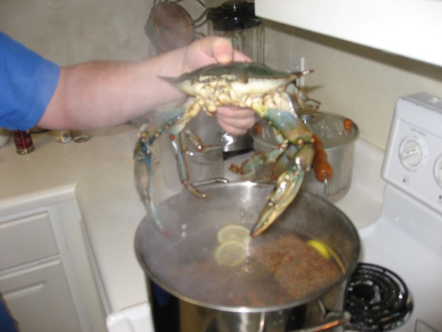 [20080701_028[2].jpg]