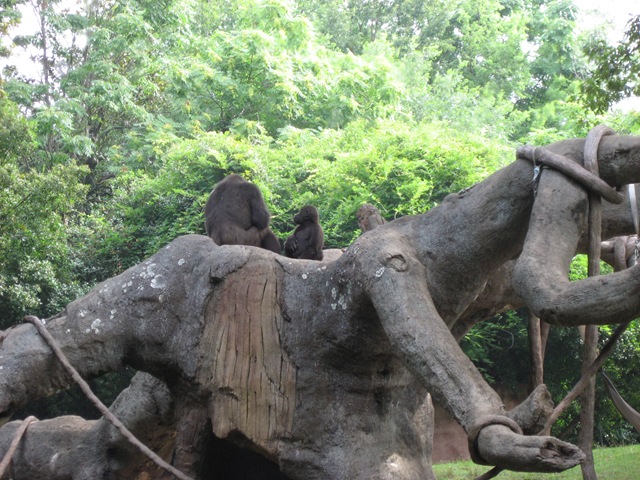 [20080711_012[1].jpg]