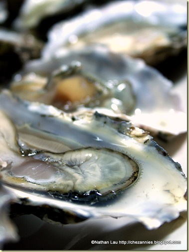 fresh oysters from Hog Island Oysters