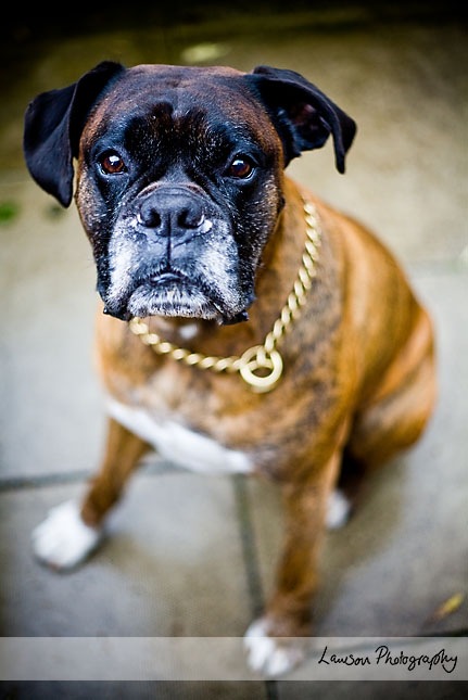 [Nicola_Jamie008[4].jpg]