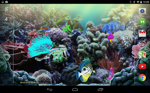 免費下載個人化APP|Exotic Aquarium Live Wallpaper app開箱文|APP開箱王