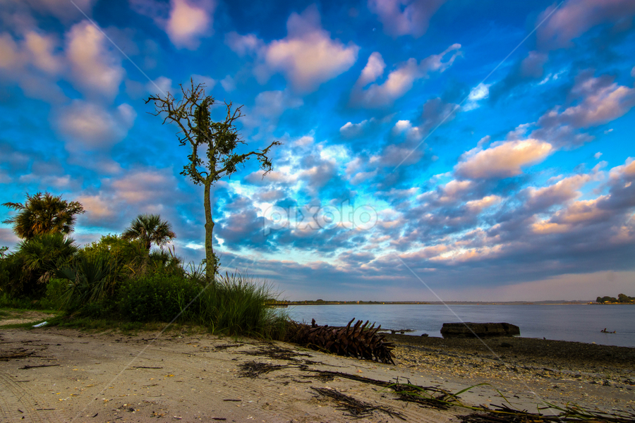 golden hour clouds by Mike Pedigo - Landscapes Cloud Formations