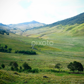 bromo by IMAGHERY PHOTOWORK - Landscapes Mountains & Hills
