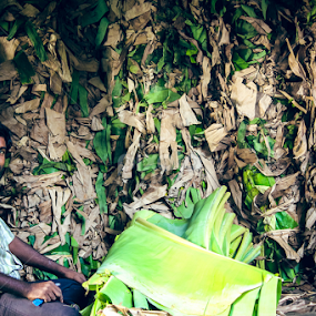 trade man by Kalai Vanan - People Street & Candids