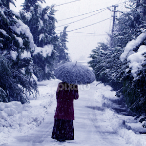 A friend (Umbrella) by Suaib Akhter - People Street & Candids