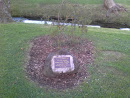 Sara-Jane Sadler Memorial Stone