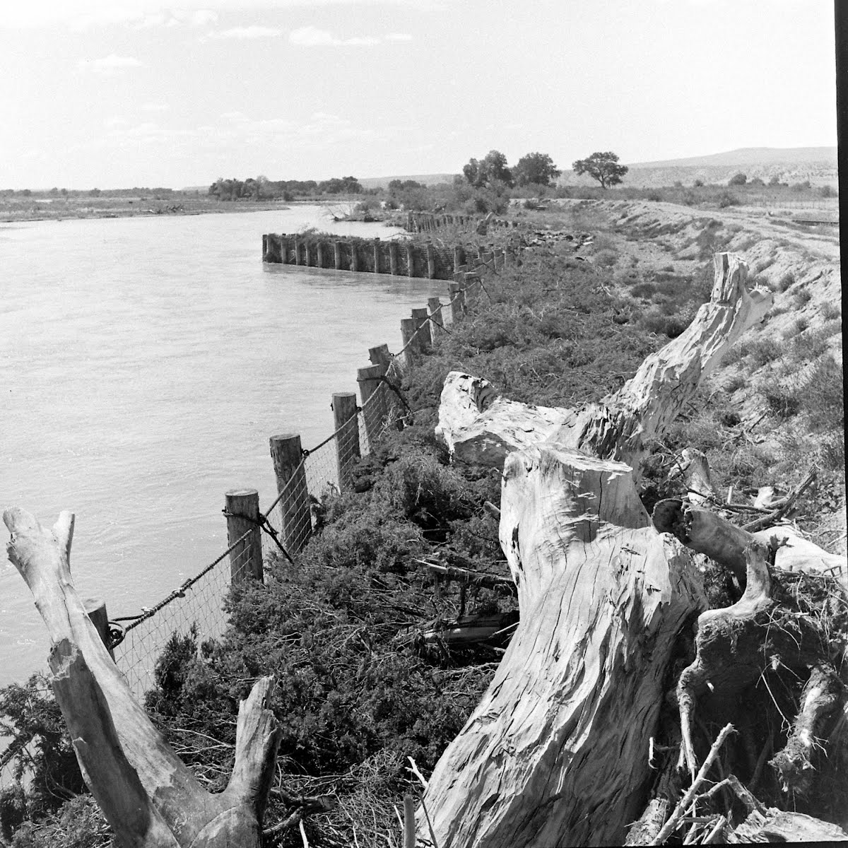 Indians, San Domingo Pueblo, New Mexico Peter Stackpole — Google Arts