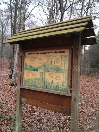 Infotafel Waldsterben