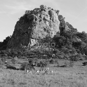 Shikumbu by Piet  Grobler - Landscapes Mountains & Hills