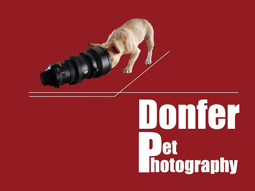 Donfer Pet Photography