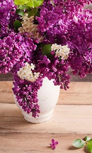 Free Flowers Live Wallpaper APK for PC