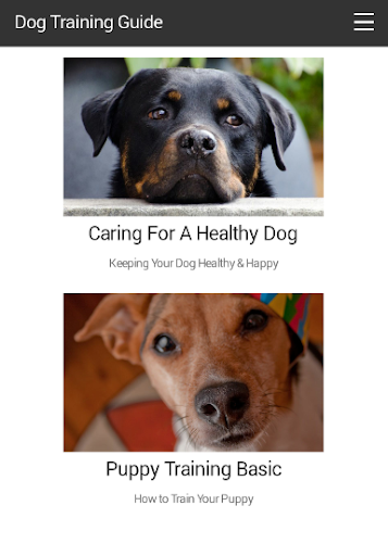 Dog Training Guide