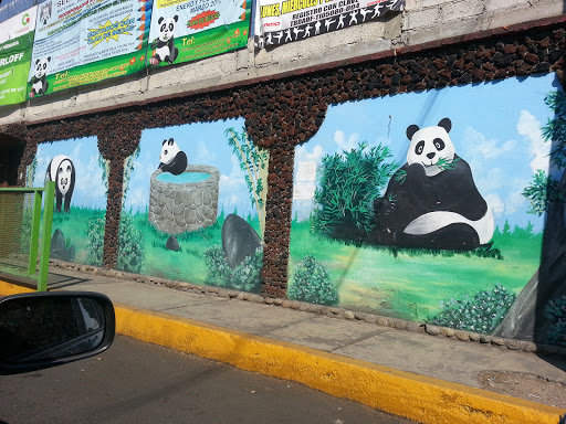 Mural Los 3 Pandas