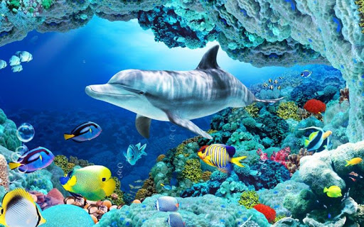 【免費個人化App】超真實3D動態水族館-海底世界-APP點子