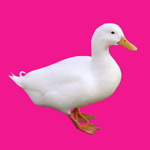 動物☆アイウエオ表.apk 2.0