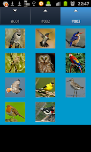 How to download Bird Sounds 1.3 apk for android