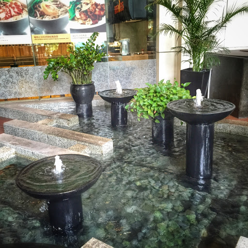 Water Fountain at Orchard Hotel