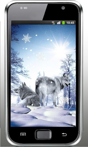Snow Wolf HD live wallpaper