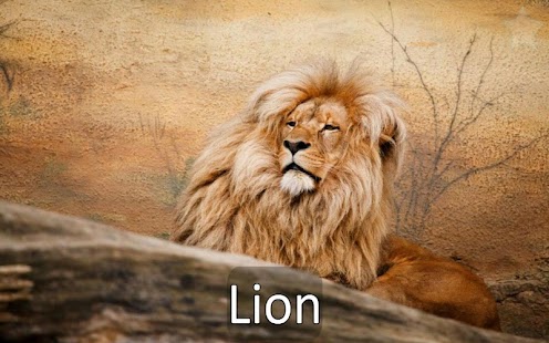 Free Download Toddler animal dictionary APK