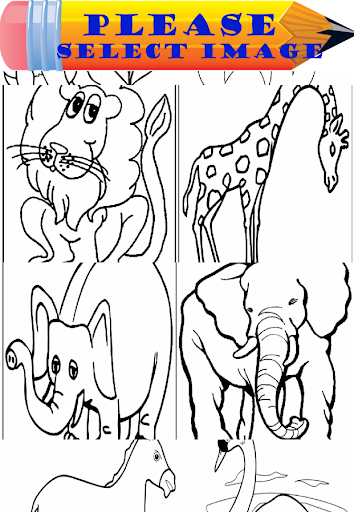 Zoo Animal Coloring Book