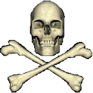 PirateLiveWallpaper.apk 1.1