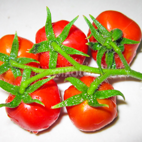 by Ani Das - Nature Up Close Gardens & Produce