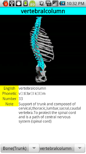 3DAnatomy