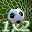 Consigli Calcistici Download on Windows
