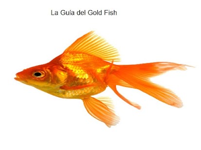 Download Guía Goldfish APK