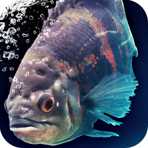 Escape: DEATH ISLAND.apk 1.2