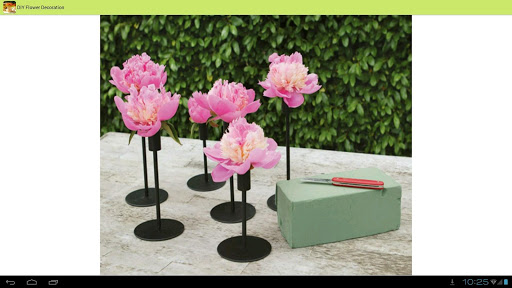 免費下載生活APP|DIY Flower Decoration Ideas app開箱文|APP開箱王