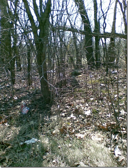 Image006
