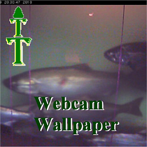 Webcam Wallpaper 1.0