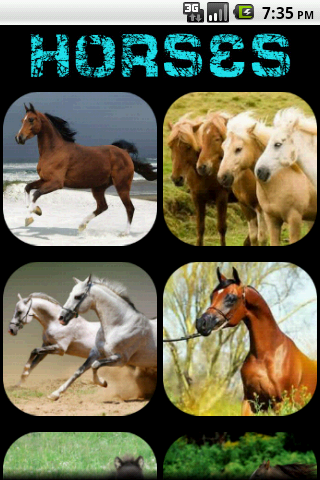 Horses