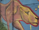 Puma En Grafiti