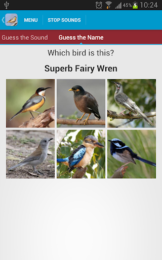 【免費教育App】Australian Birds Sounds-APP點子