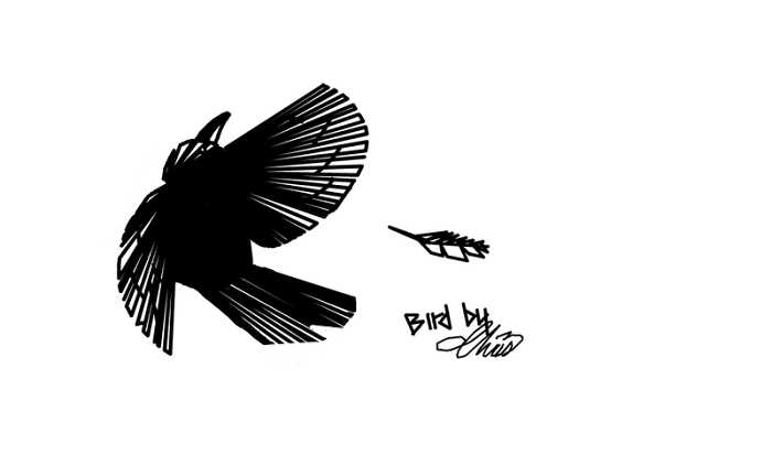 Drawing 79008