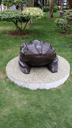 Purple Toad