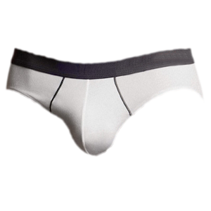 Briefs or Boxers Underwear?.apk 1.0