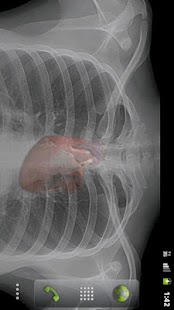 Free Download Life - Live Wallpaper APK for Android