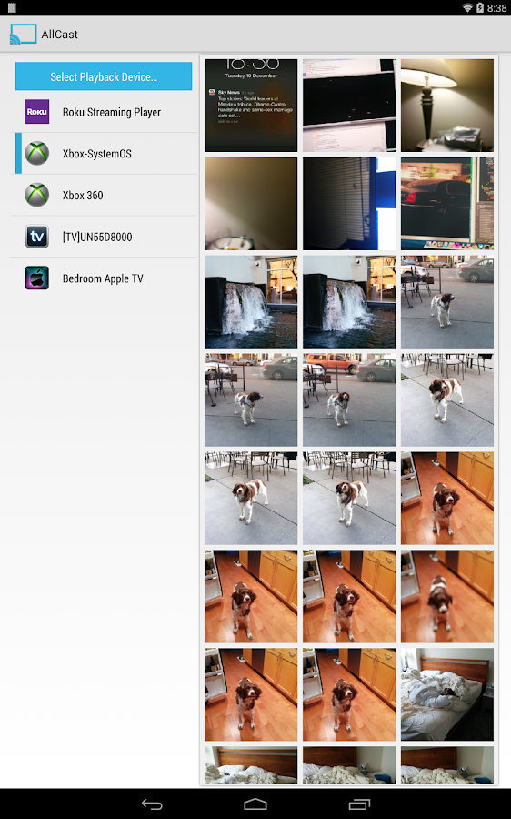 AllCast Premium - screenshot