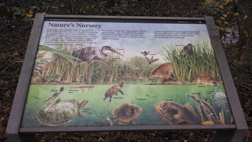 Nature's Nursery