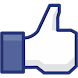 FaceBook Page Likes Widget