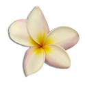 tipo tudo logo
