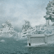 Snow Storm Live Wallpaper