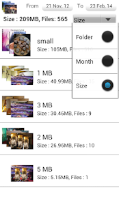 Download Album Manager - by size,month APK