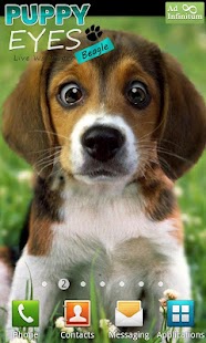 Puppy Beagle Live Wallpaper