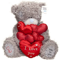 Teddy Bear Toy Wallpapers logo